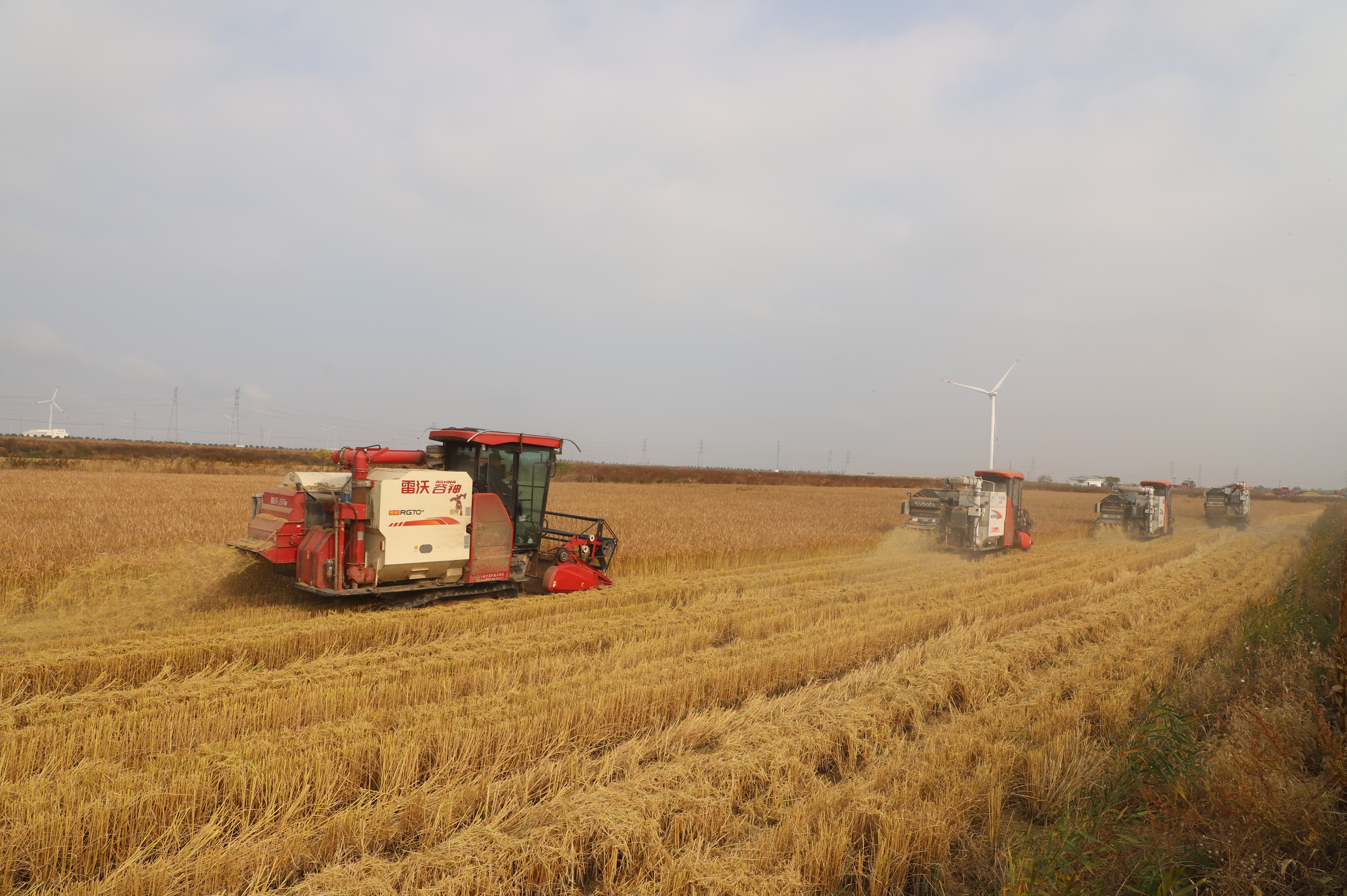 IMG_3917.jpg IMG_3917.jpg